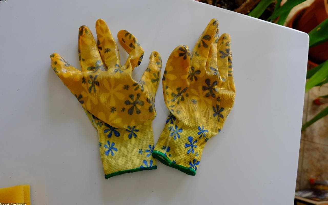 Cleaning Service template preview