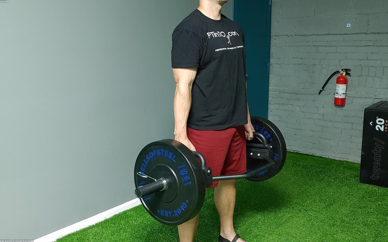 Personal Trainer template preview